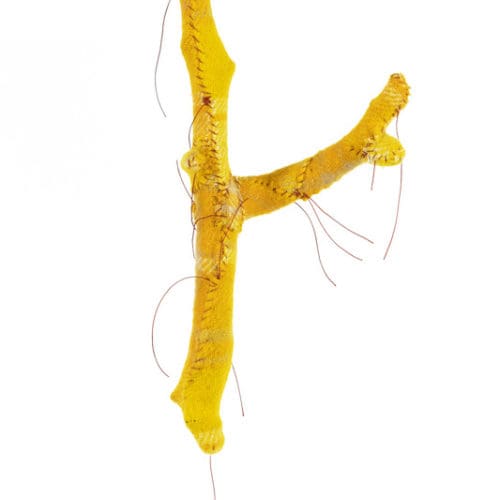 Exhibition by Others : Decompression