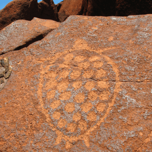 Murujuga : Celebration of an Ancient Cultural landscape